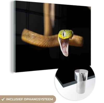 MuchoWow® Glasschilderij 120x80 cm - Schilderij acrylglas - Slang - Dier - Zwart - Foto op glas - Schilderijen