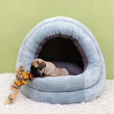 Extra Warm En Verstevigd Huisdierbed Voor De Winter - Lichtblauw Pluche Mandje Met Anti-Slip Bodem - Ideaal Voor Katten En Kleine Honden - Zacht En Isoleren Design