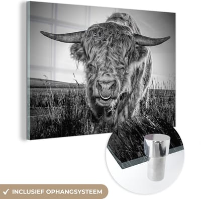 MuchoWow® Glasschilderij 150x100 cm - Schilderij acrylglas - Schotse Hooglander - Zwart - Wit - Foto op glas - Schilderijen