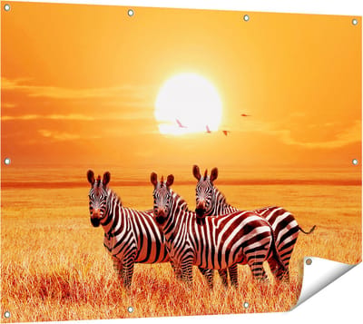 Gards Tuinposter Drie Zebra's bij Zonsondergang - 120x90 cm - Tuindoek - Tuindecoratie - Wanddecoratie buiten - Tuinschilderij
