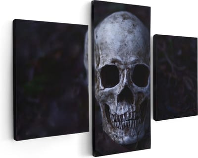 Artaza Canvas Schilderij Drieluik Schedel - Doodshoofd - 90x60 - Foto Op Canvas - Canvas Print