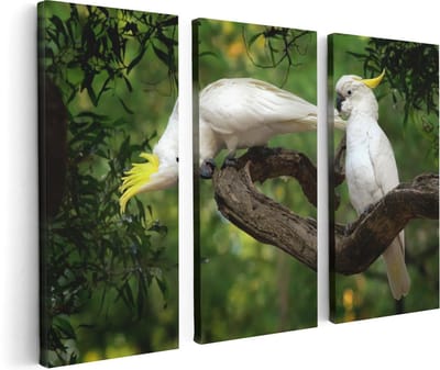 Artaza Canvas Schilderij Drieluik Twee Witte Kaketoes in de Bomen - 120x80 - Foto Op Canvas - Canvas Print