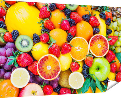 Gards Tuinposter Kleurrijke Fruit Achtergrond - 180x120 cm - Tuindoek - Tuindecoratie - Wanddecoratie buiten - Tuinschilderij
