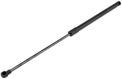 Gasveer achterklep OEM 8731.J8
