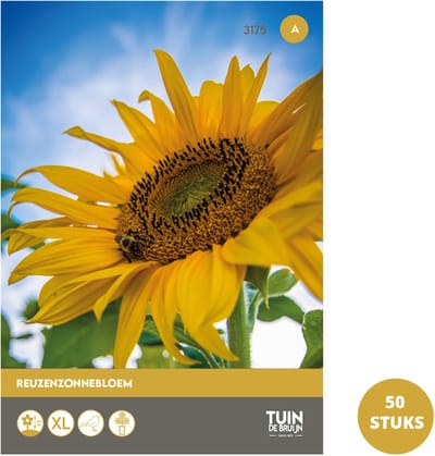 Tuin de Bruijn® zaden - Reuzenzonnebloem zaden - 50 uitdeelzakjes - leuk als cadeau