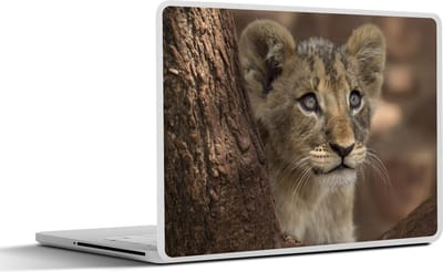 Laptop sticker - 10.1 inch - Leeuw - Boom - Wilde dieren - 25x18cm - Laptopstickers - Laptop skin - Cover