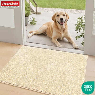 FLOORDIREKT Schoonloopmat Nasa - Zachte & Waterabsorberende Deurmat - Beige 50 x 80 cm - Voor Binnen & Buiten - Antislip Onderzijde - Verkrijgbaar in 5 Kleuren & 8 Maten
