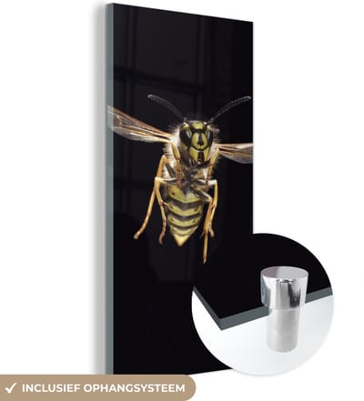 MuchoWow® Glasschilderij 20x40 cm - Schilderij acrylglas - Wesp - Insecten - Portret - Foto op glas - Schilderijen