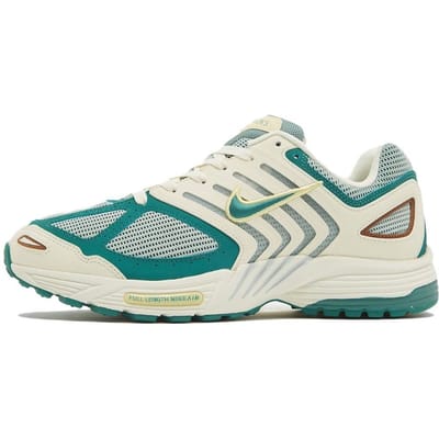 Nike Air Peg 2K5 'Bicoastal' - Maat 44.5