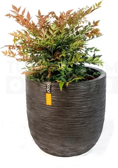 Pot bol Rib NL 43x41 zwart + Nandina