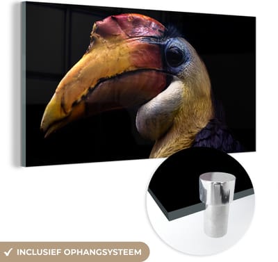 MuchoWow® Glasschilderij 40x20 cm - Schilderij acrylglas - Vogel - Snavel - Zwart - Foto op glas - Schilderijen