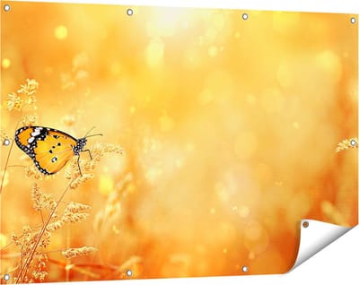 Gards Tuinposter Oranje Vlinder in het Oranje Veld - 120x80 cm - Tuindoek - Tuindecoratie - Wanddecoratie buiten - Tuinschilderij