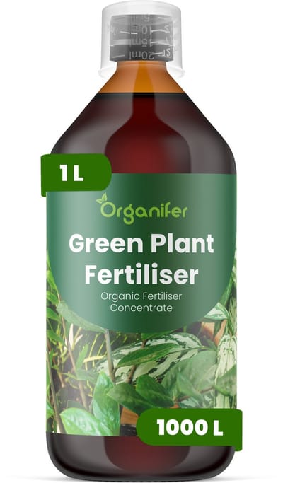Vloeibare Meststof Voor Groene Plant 1 L Voor 1000 L - Npk 2-1-8 - Groene Bladplanten - Bladkleur - Bladtextuur - Wortelontwikkeling - Vochtregulati - Tropische Planten - Kamerplanten - Plantgezondheid - Organifer