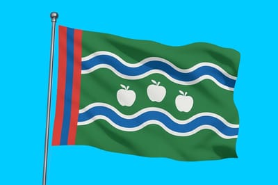 Vlag streek Betuwe 120x180 cm