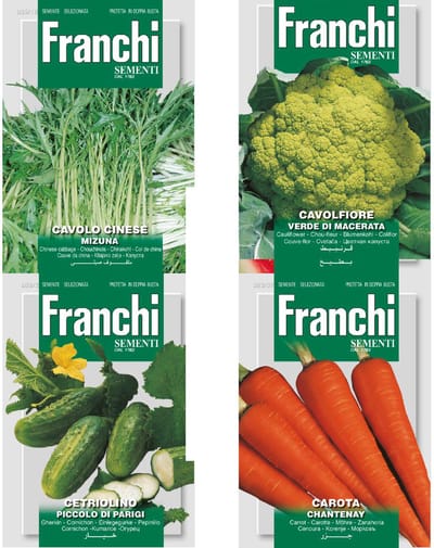 Buitenlandse groente zaden set van 4 | Wortelen Carota Chantenay | Bloemkool Cavolfiore Verde de Macerata | Augusrk Cetriolino Piccolo di Parigi | Bladkool Cavolo Cinese Mizuno