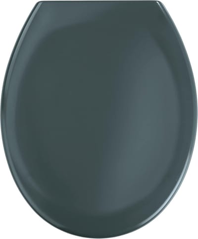Premium Ottana Thermoset Plastic Toilet Seat, Dark Grey