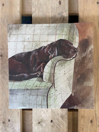 Alex Clark Canvas Buddy Medium - Canvas doek Hond