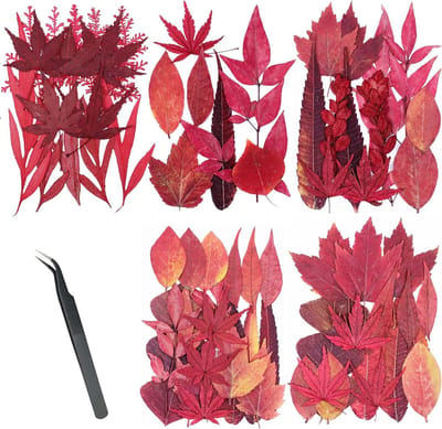 Gedroogde Rode Bladeren - Natuurlijke Bloemen - Hobby Projecten - Echt Natuurlijk - 73 Stuks - Rood