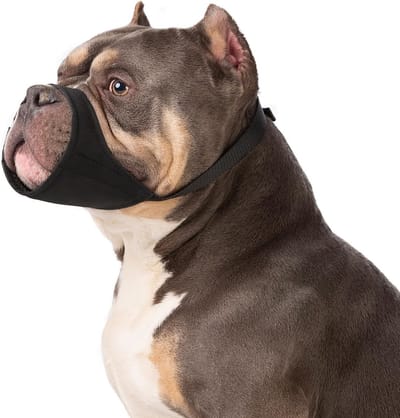 SolidKeus - Muilkorf voor Grote Honden zoals Pitbulls en Rottweilers