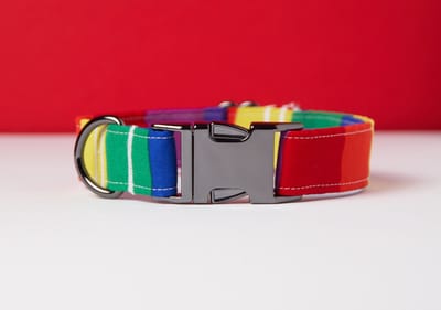 Awesome Paws halsband hond - Honden Halsband Regenboog Patroon - Rainbow Multicolor - Handmade | Maat L
