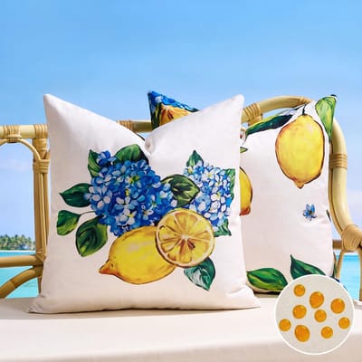 Kussenslopen van 50 x 50 cm, citroen, waterdichte hoes voor buitenbank, lente, zomer, decoratief voor bank, tuin, balkon, bed en woonkamer, set van 2
