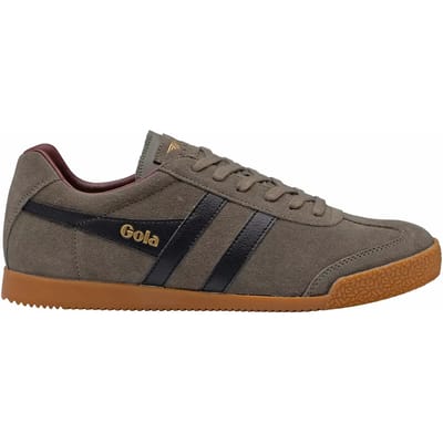 Baskets Gola Harrier