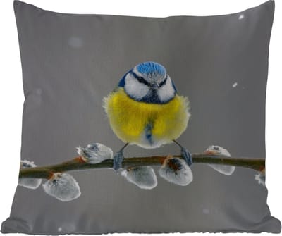 Tuinkussen - Pimpelmees - Vogel - Tak - Geel - Blauw - 40x40 cm - Weerbestendig