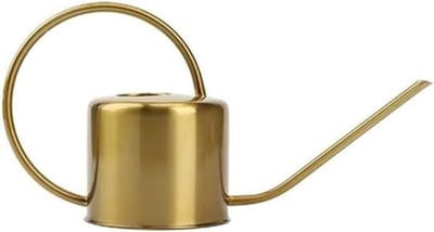 Gieter Met Lange Tuit - Plantenspuit Metaal - Planten Water Geven - Roestvrij Staal - 37.6 x 13 x 20cm