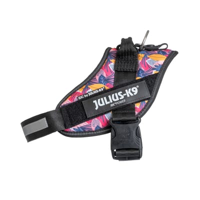 Limited Edition Julius-K9 IDC® Powerharness, Leaf 2 Gr. M/0: Borstomtrek 58-76 cm voor honden