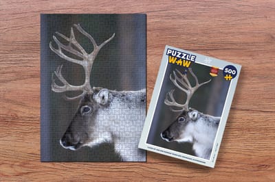Puzzel Close-up van een rendier tegen een vervaagde achtergrond - Legpuzzel - Puzzel 500 stukjes