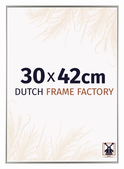 Fotolijst 30x42 cm - Kunststof - Champagne - Easy