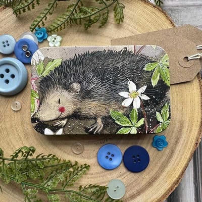 Alex Clark Rectangle Tin Mr. Prickly ~ Langwerpig opbergblikje egel