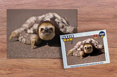 Puzzel Een close-up van een Luiaard op de weg - Legpuzzel - Puzzel 1000 stukjes volwassenen