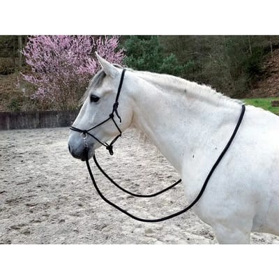 Ethologisch halster voor paarden met teugels Norton