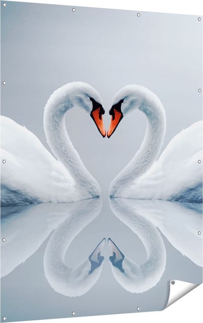 Gards Tuinposter Twee Zwanen in een Hart Vorm - 120x160 cm - Tuindoek - Tuindecoratie - Wanddecoratie buiten - Tuinschilderij