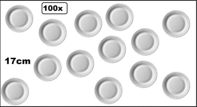 100x Bordje 17cm karton wit - gebaks bord amuse tapas snack taart festival thema feest verjaardag wegwerp