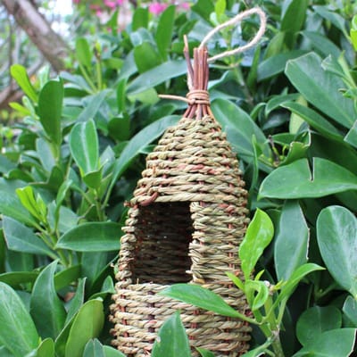 Maisonnette d'oiseaux suspendue premium Nid d'oiseau Hutte en fibre naturelle pour pinsons Abri de cage extérieur Cachette Nid d'oiseau Haute qualité Élégant black
