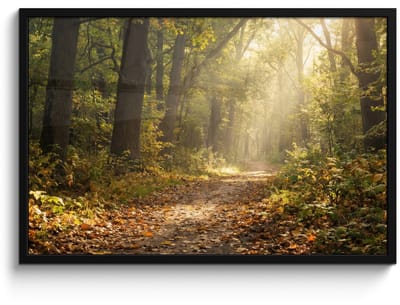 Poster in lijst - Fotolijst 90x60 cm - Posters - Zonlicht - Bospad - Bomen - Posterlijst zwart - Decoratie - Wanddecoratie woonkamer - Muurdecoratie slaapkamer