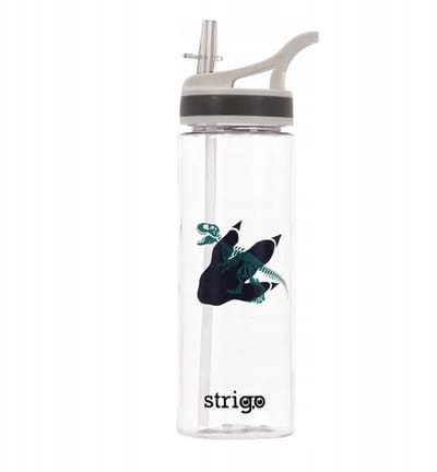 Strigo Dinosaurus Bidon 600ml - Leuk voor school en onderweg