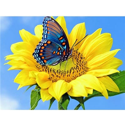 Peinture diamant tournesol, broderie papillon, point de croix, strass, mosaïque fleur 20X30CM blue