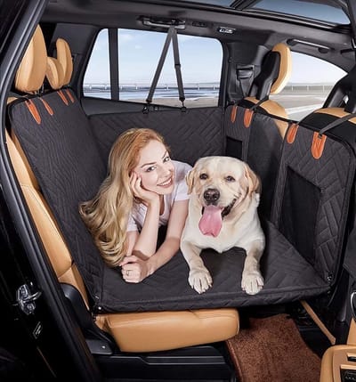 Autohoes Honden - Stoelhoes Achterbank - Huisdier Vervoer - Waterdicht Krasbestendig - 30 x 20 x 10 cm - Zwart