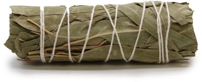 Smudge Stcik - White Sage & Eucalyptus 10 cm