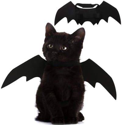 Daity Halloween kattenkostuums voor katten - honden en huisdieren met vleermuisvleugels - Kat en hond vleermuiskostuum vleugels - Kat en hond cadeaus - Huisdiercadeaus (maat S)