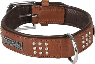 Flamingo Sedona Gevoerd;gevuld - Halsband Honden - Halsband Sedona Leder+fitting Bruin M 34-40cm 37mm - 1st - 128577 - 1st