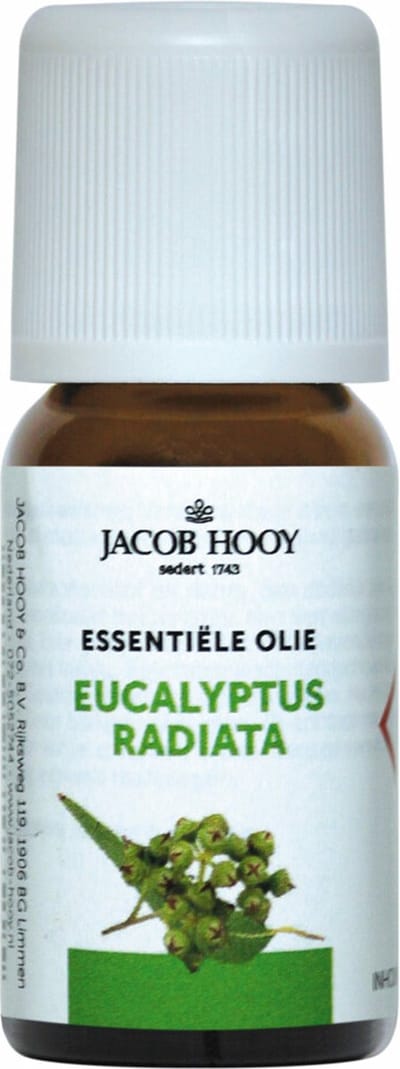 Jacob Hooy Eucalyptus radiata olie 10 Milliliter