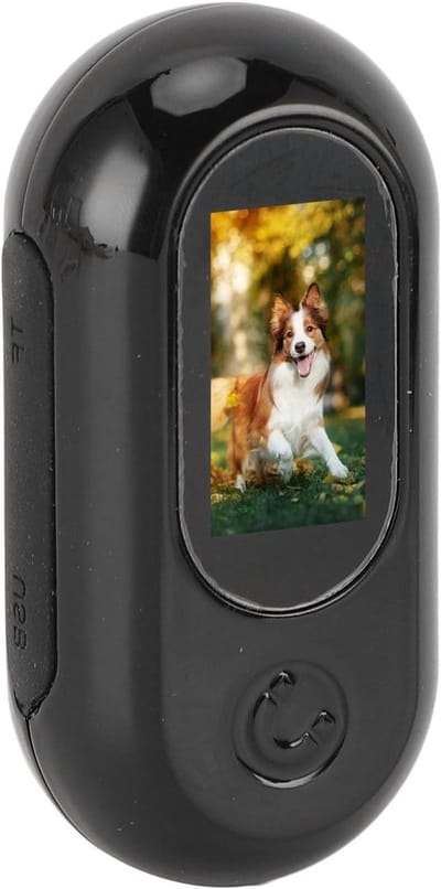 Huisdiercamera Halsband - Mini Sportcamera - Unieke Beelden Vastleggen - Elektronische Beeldstabilisatie - 1080P Resolutie - Zwart