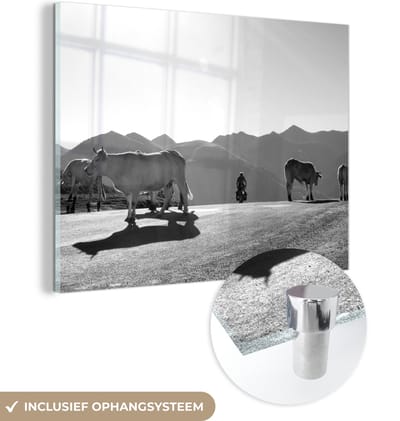 MuchoWow® Glasschilderij 160x120 cm - Schilderij acrylglas - Schotse hooglander - Licht - Berg - Natuur - Foto op glas - Schilderijen