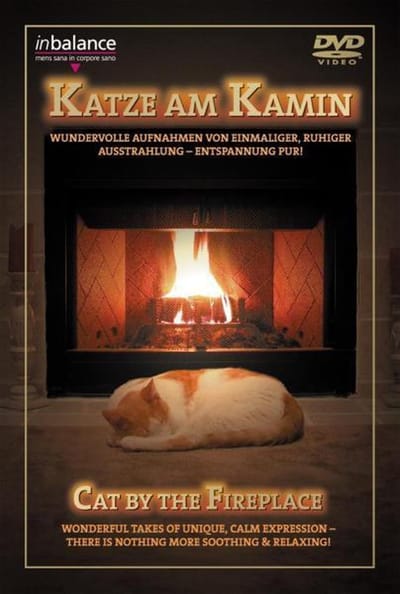 Cat By The Fireplace