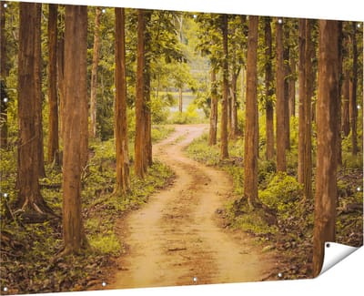 Gards Tuinposter Pad in het Bos met Bomen - 180x120 cm - Tuindoek - Tuindecoratie - Wanddecoratie buiten - Tuinschilderij