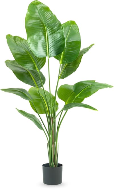 Easyplants | Kunstplant Strelitzia 150 cm real touch2 | Zijde | Strelitzia | Groen